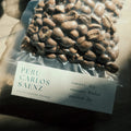 Peru Carlos Saenz